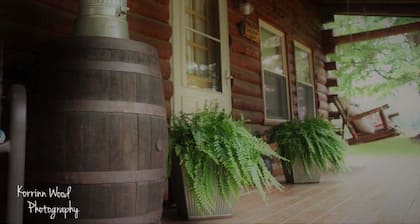 Sonshine Cabin is your own private park. With wildlife or a hike to the creek.