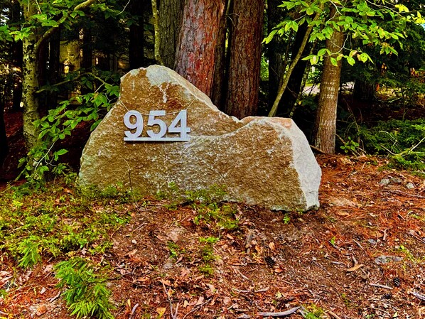 En stor sten med tallet 954 udhugget i, omgivet af træer og skovbunden.