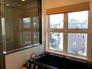 Combined shower/bathtub, hair dryer, towels, shampoo