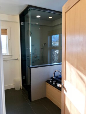 Combined shower/tub, hair dryer, towels, shampoo