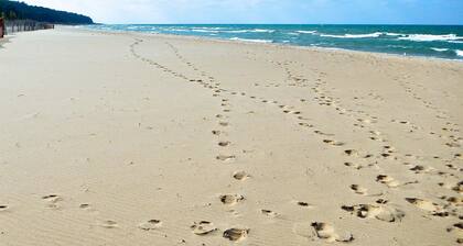 Saugatuck Modern Farmhouse - Steps to Downtown | Game Room | Outdoor Fireplace