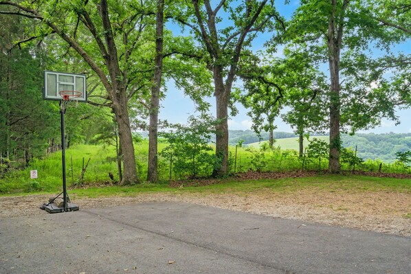 A basketball hoop with a 'No Parking' sign nearby, set against a backdrop of trees and a clear sky.