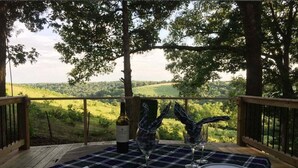 A table set outdoors with a view of a green landscape. - Secluded 40 Acres Near Table Rock, Stunning Views, Games, Community Pool & Car Charger (Blue Eye)