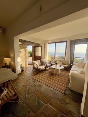 Smart TV, fireplace, books
