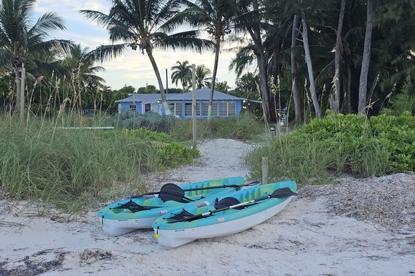 A relaxing kayak trip awaits.