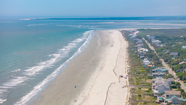 An aerial view of a beach with a long stretch of sand, a few people, and houses along the shore. - Mountain to Sea - Direct Beach Access -Ocean Views - 4BD +Bonus Bedroom (Folly Beach)