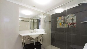Shower, hair dryer, shampoo