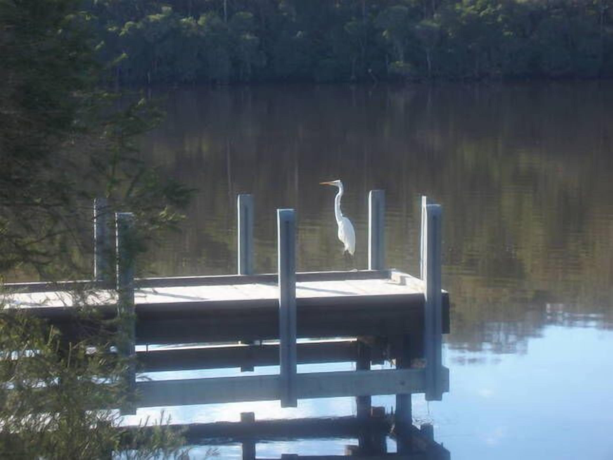 A dock extending into a calm lake with a heron standing on it.