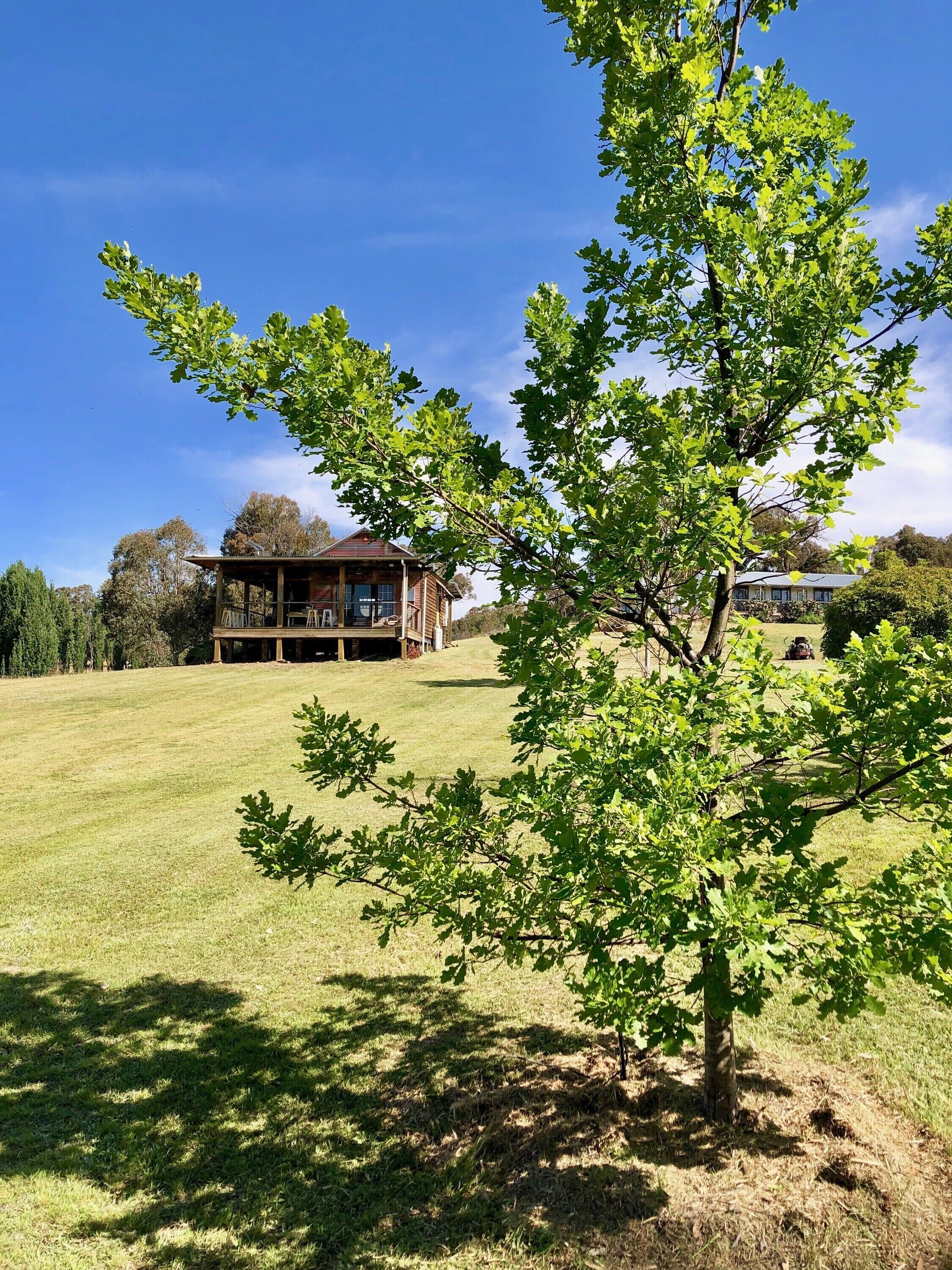 Overnatningsstedets område