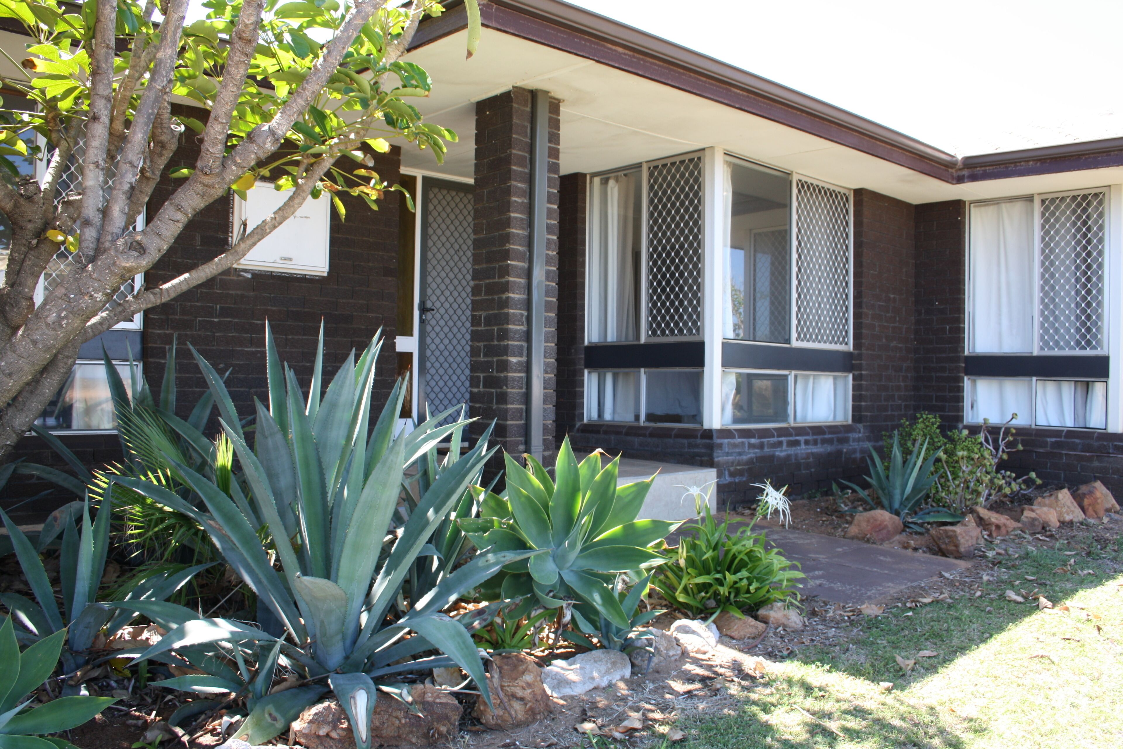 Sea and surf vacation home