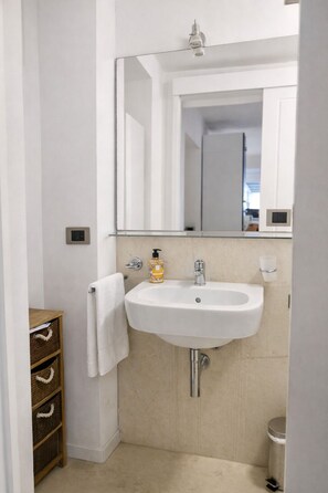 Shower, hair dryer, bidet, towels