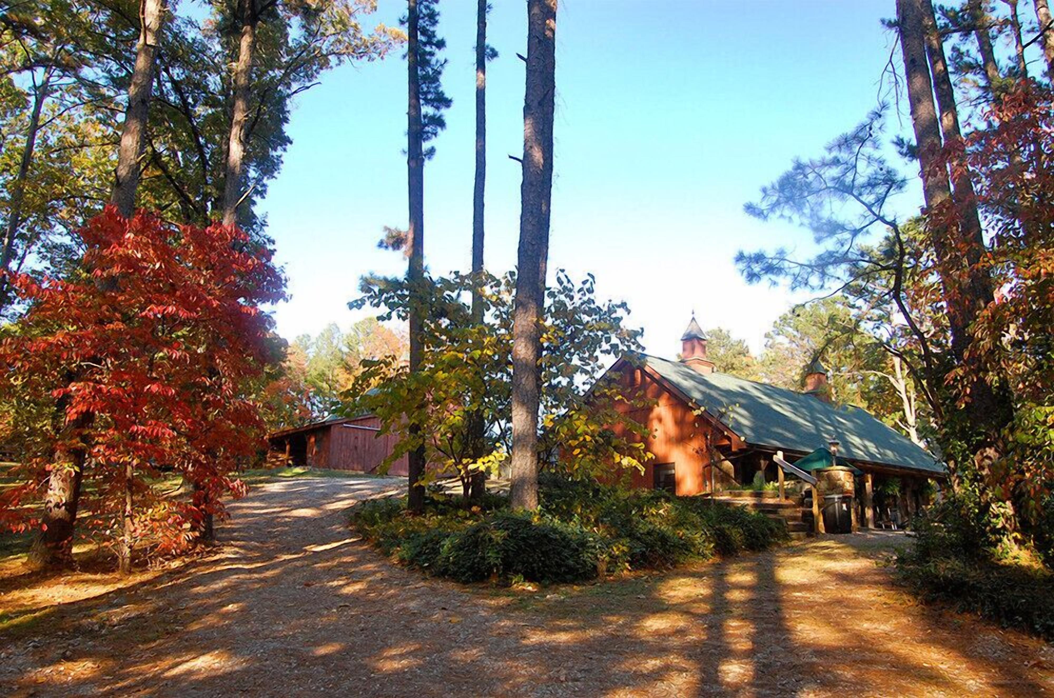 Une cabane rustique avec un toit végétalisé, entourée de grands arbres et bordée d’un sentier de terre.
