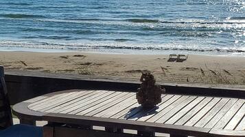 在海滩、沙滩椅