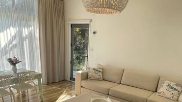 Smart TV, fireplace, DVD player, books