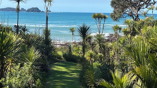 A pathway leading to a beach with palm trees and a view of the ocean.