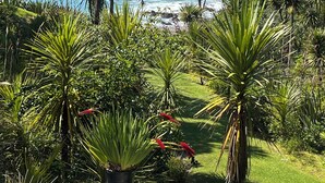 A garden with tropical plants and a view of the ocean.