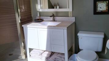 Combined shower/tub, hair dryer, towels, soap