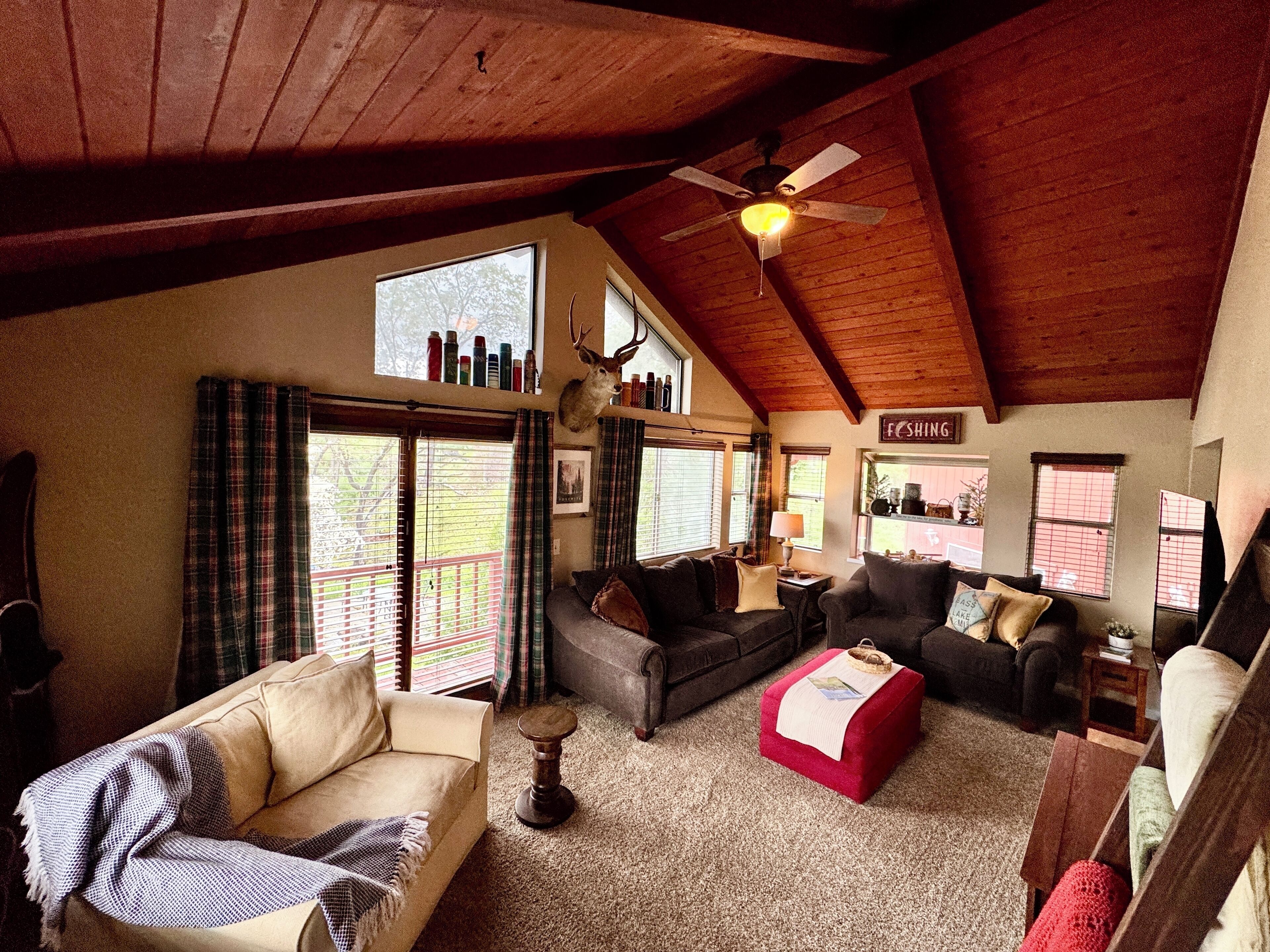 Smart TV, fireplace, DVD player, books
