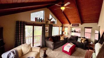 Smart TV, fireplace, DVD player, books