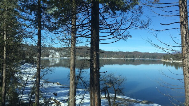 Un lago tranquilo rodeado de altos árboles y suelo cubierto de nieve.