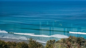 Lettini da mare