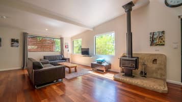 Tv, eldstad, dvd-spelare och böcker