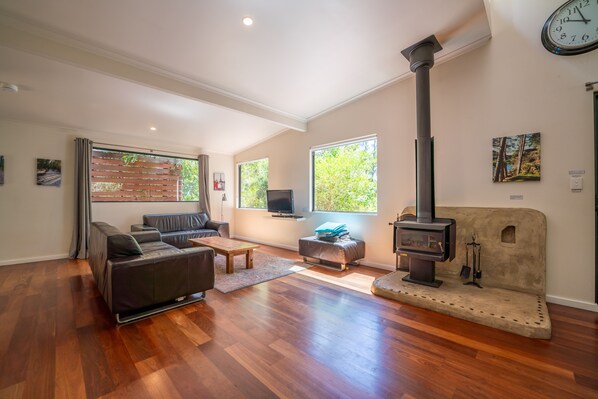 Tv, eldstad, dvd-spelare och böcker