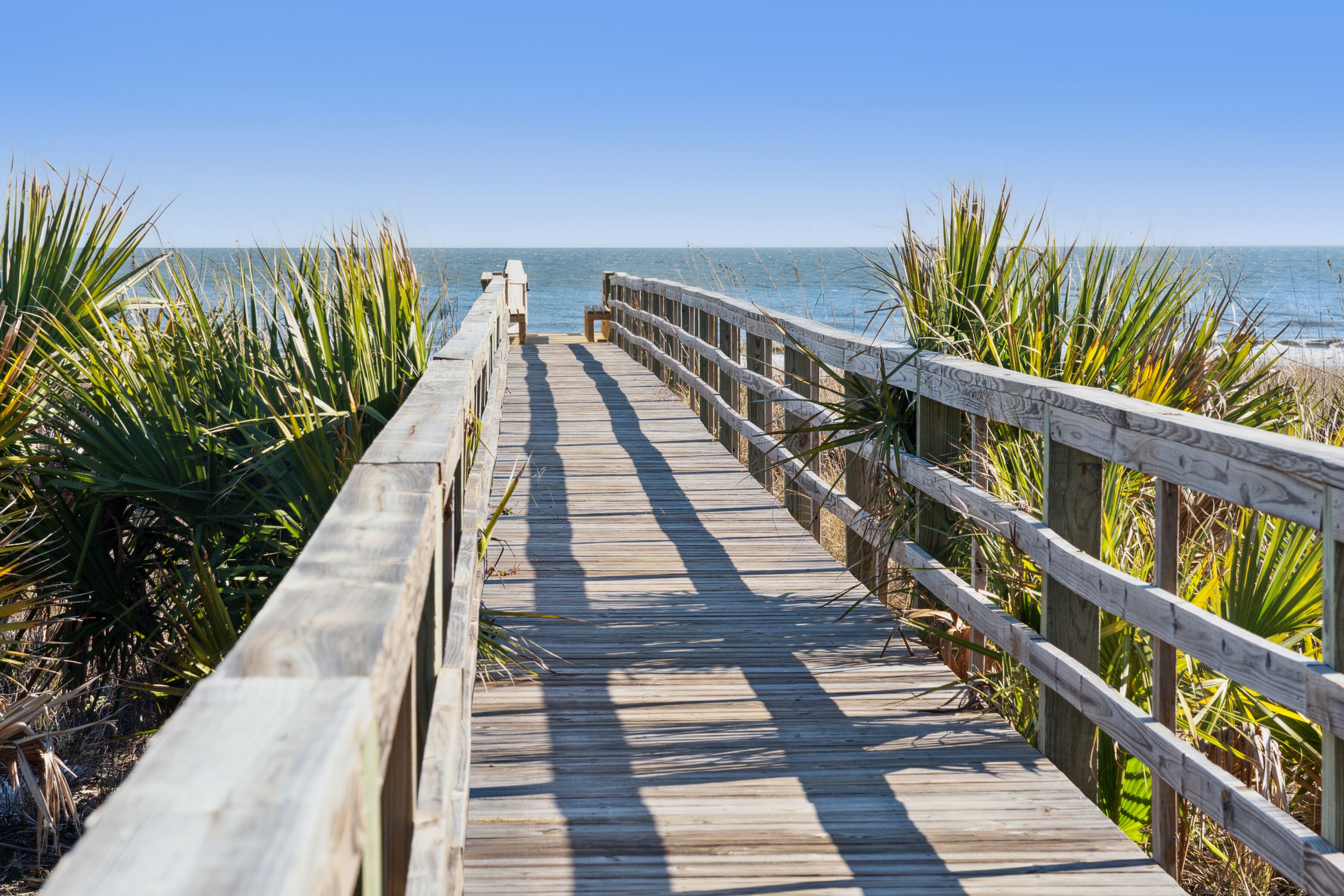 Une promenade en bois menant à la plage, bordée de palmiers.