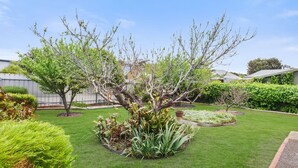 A well-maintained garden with various plants and a lawn. - Great Location Stay and Relax (Victor Harbor)