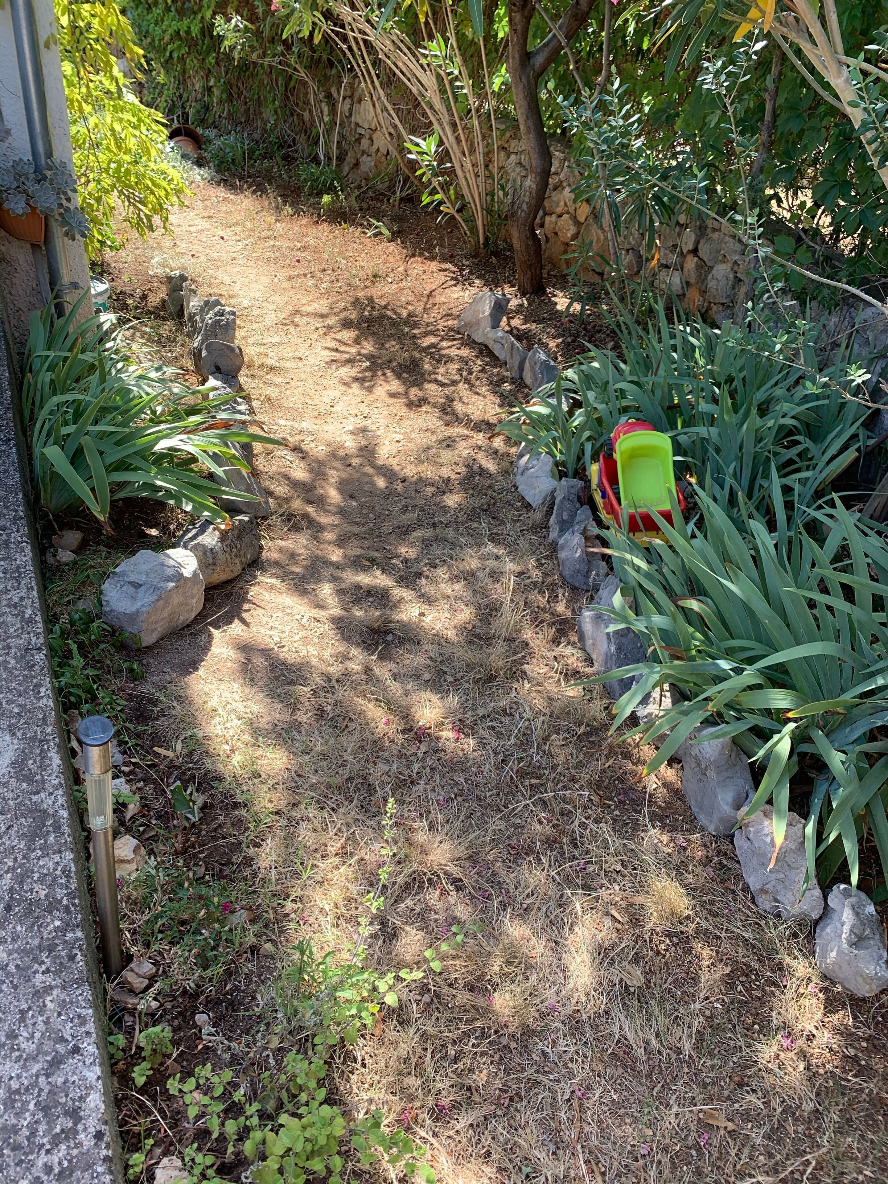 Un sendero en un jardín con rocas y plantas.