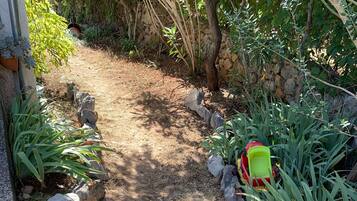 Un sendero en un jardín con rocas y plantas.