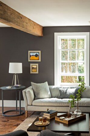 Télévision LCD, cheminée, livres, chaîne hi-fi