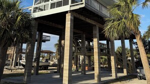 Un edificio de techado plano y grandes ventanales, sostenido por pilares de concreto, con palmeras alrededor.