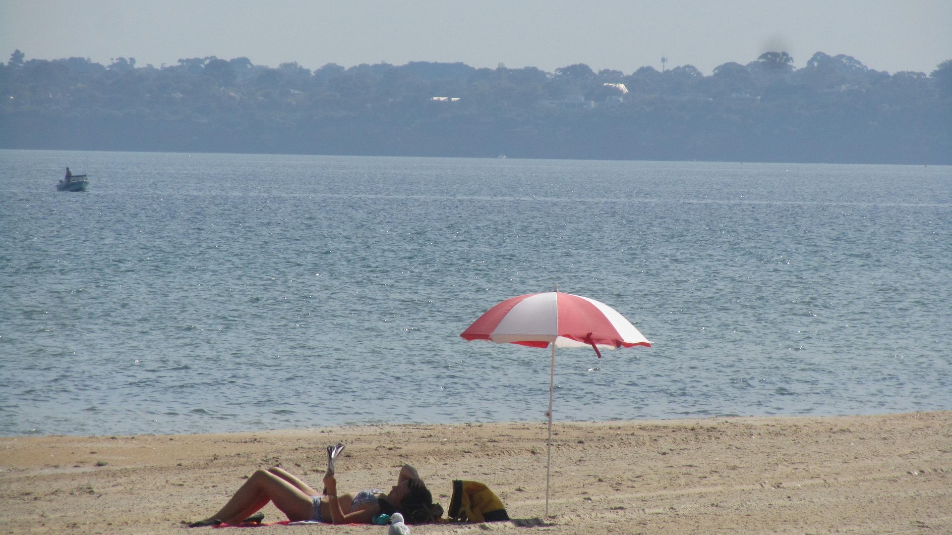 Lorikeet Studio Apartment - 7 night minimum stay — image 8