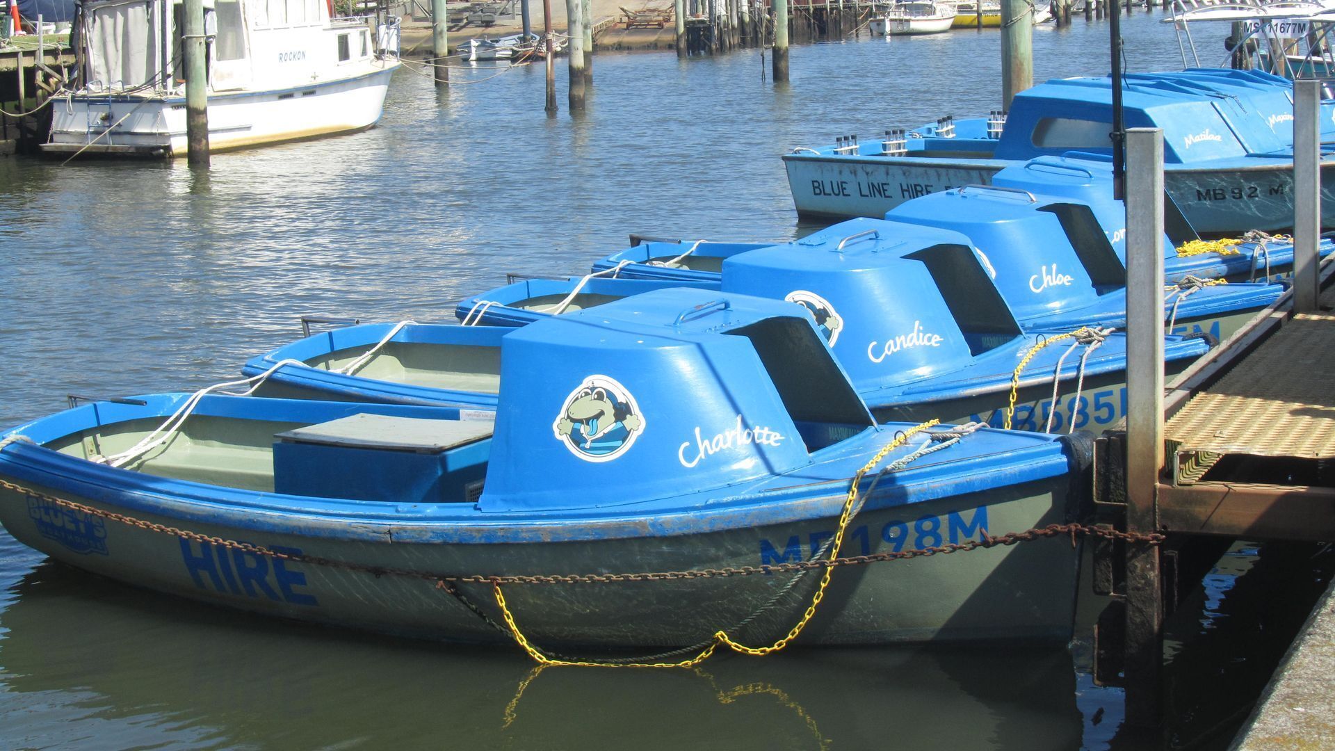 Lorikeet Studio Apartment - 7 night minimum stay — image 2