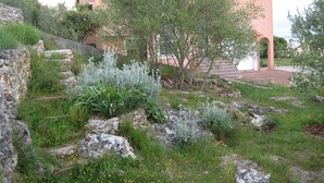 A building with a pink facade, surrounded by a garden with various plants and a stone wall. - Family-friendly apartment in old fishermen village close to Zadar (Kali)