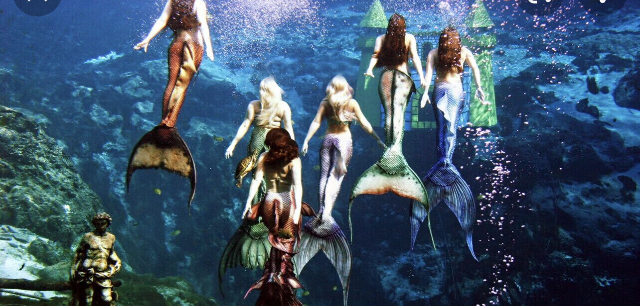A mermaid exhibit with multiple mermaids in the water, surrounded by underwater scenery.