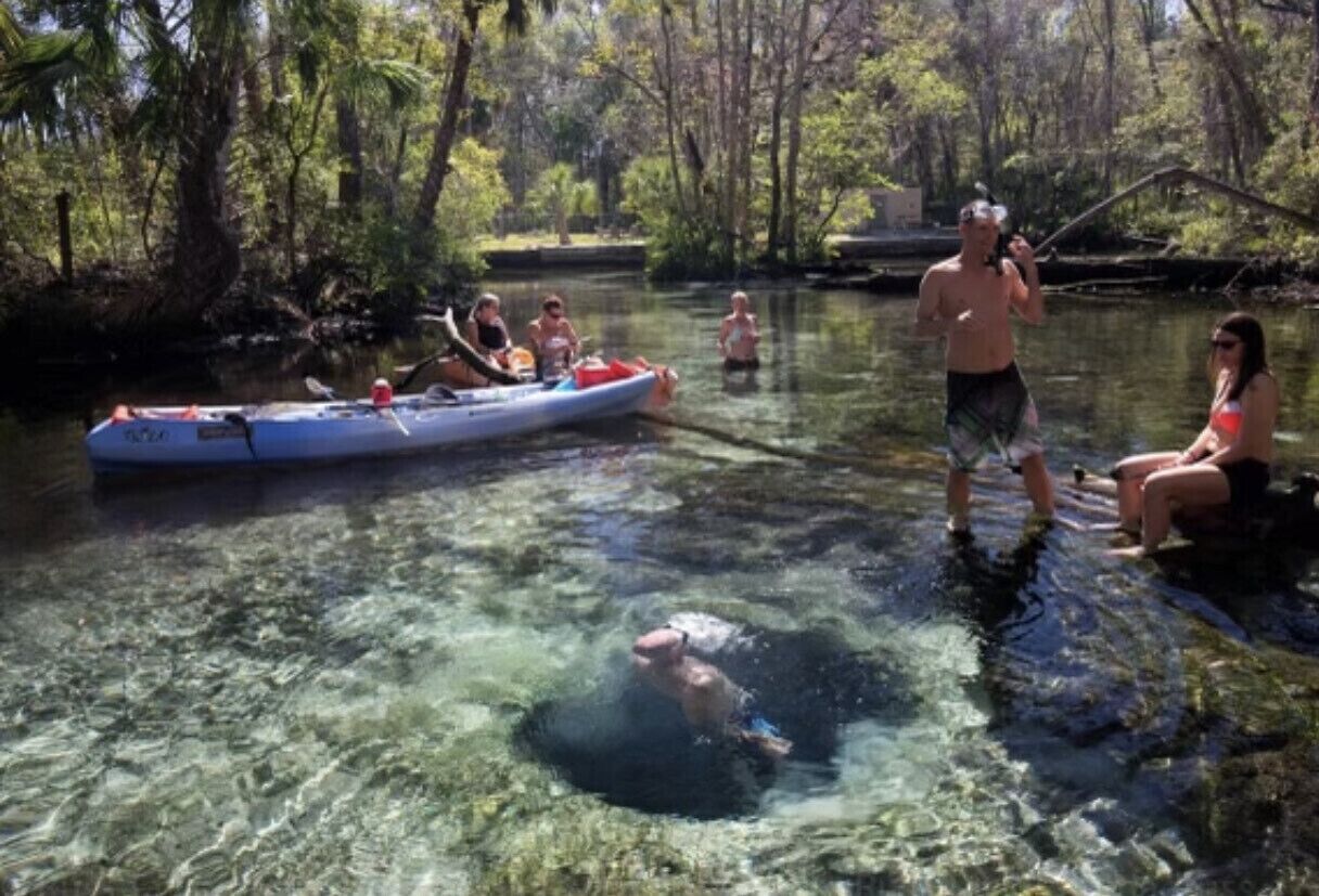 A group of people kayaking and swimming in a forested river.