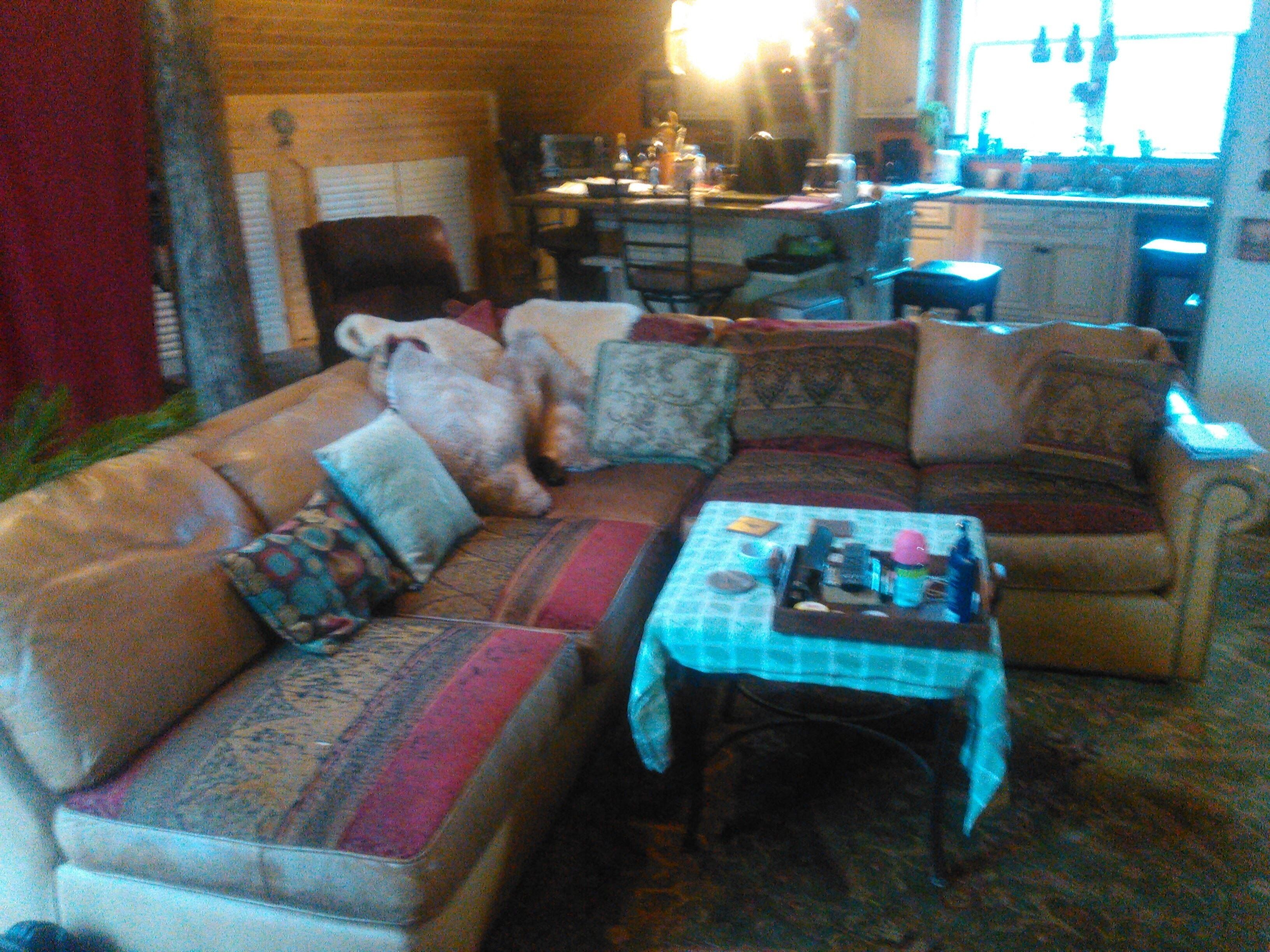 Secluded Cozy Luxurious Cabin, Gourmet Kitchen On 100 Acres W/ Miles Of Trails