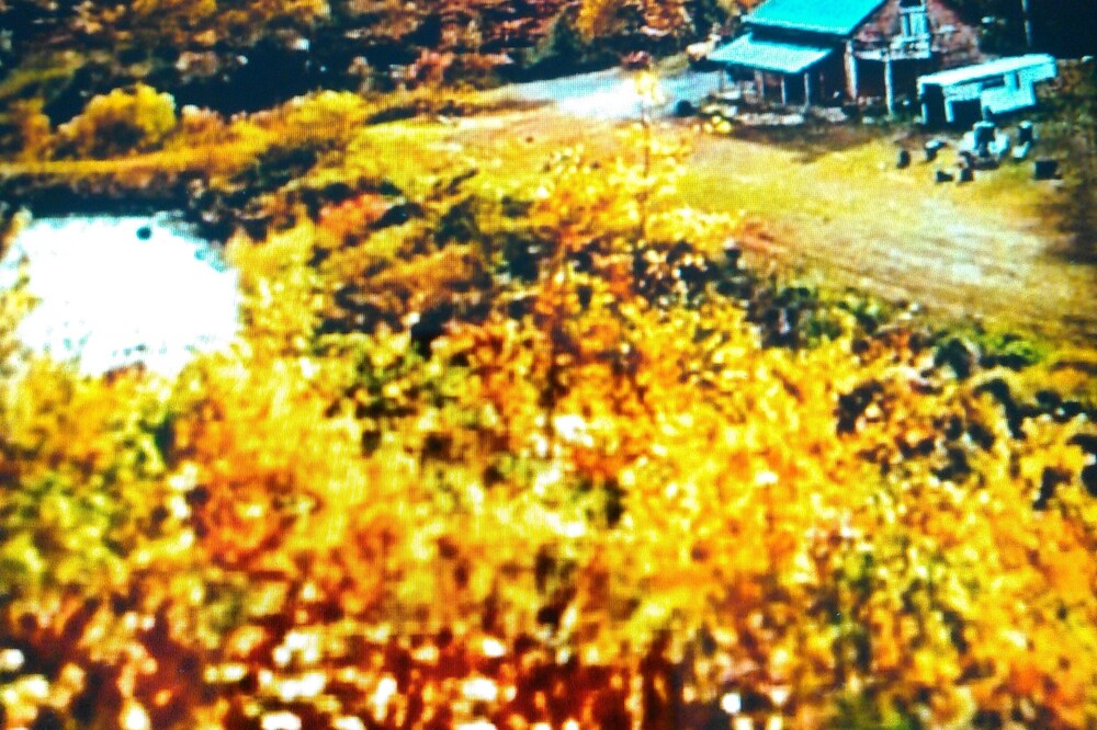 Secluded Cozy Luxurious Cabin, Gourmet Kitchen On 100 Acres W/ Miles Of Trails