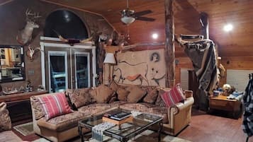 Smart TV, fireplace, DVD player, books