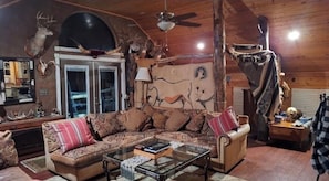 TV connectée, cheminée, lecteur de DVD, livres