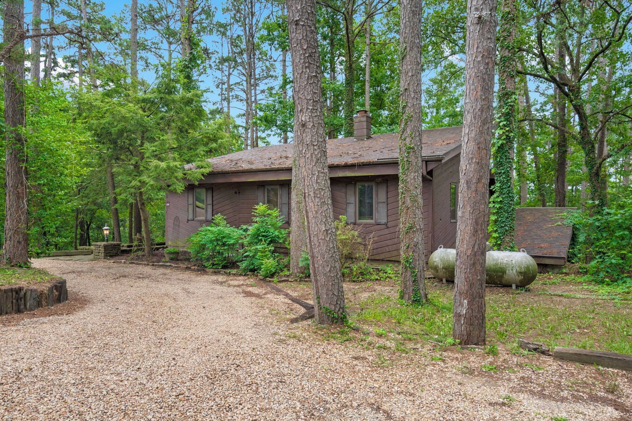 A rustic cabin surrounded by tall trees and a gravel path leading to it.