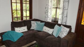 Smart TV, fireplace, DVD player, books