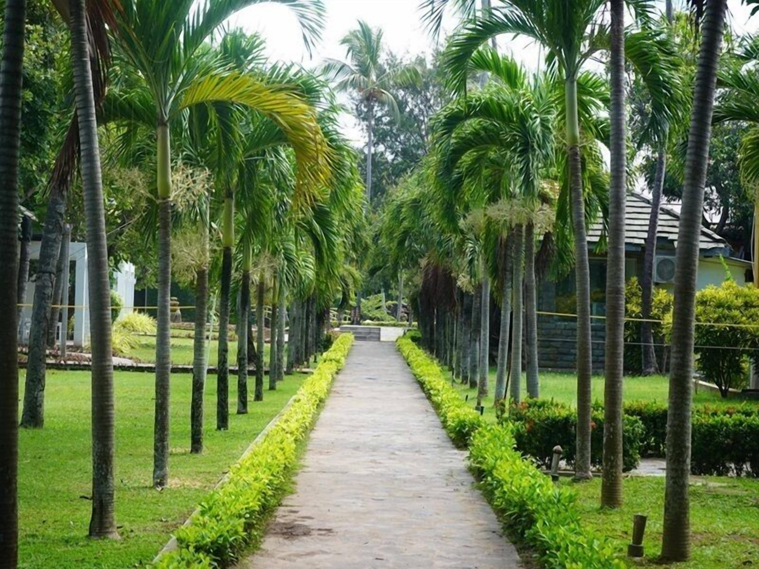 Foto - Amaluna Resorts