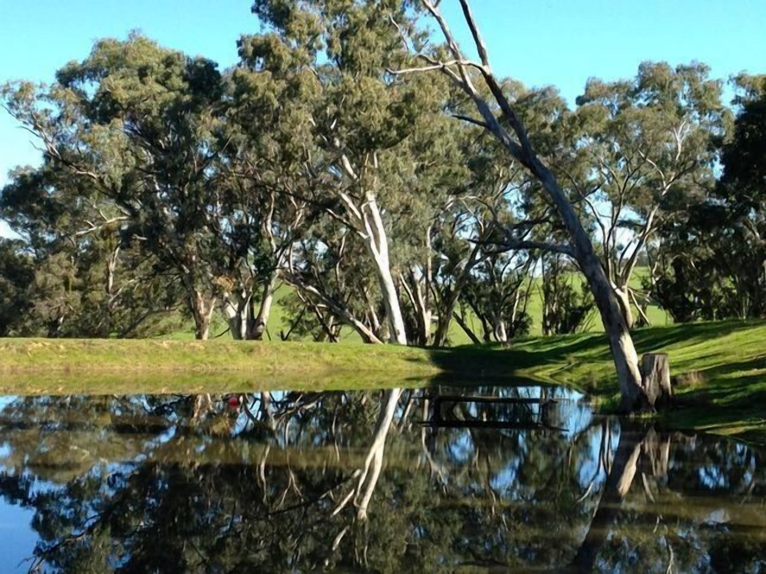 *Barrenjoey Hideaway* — image 29