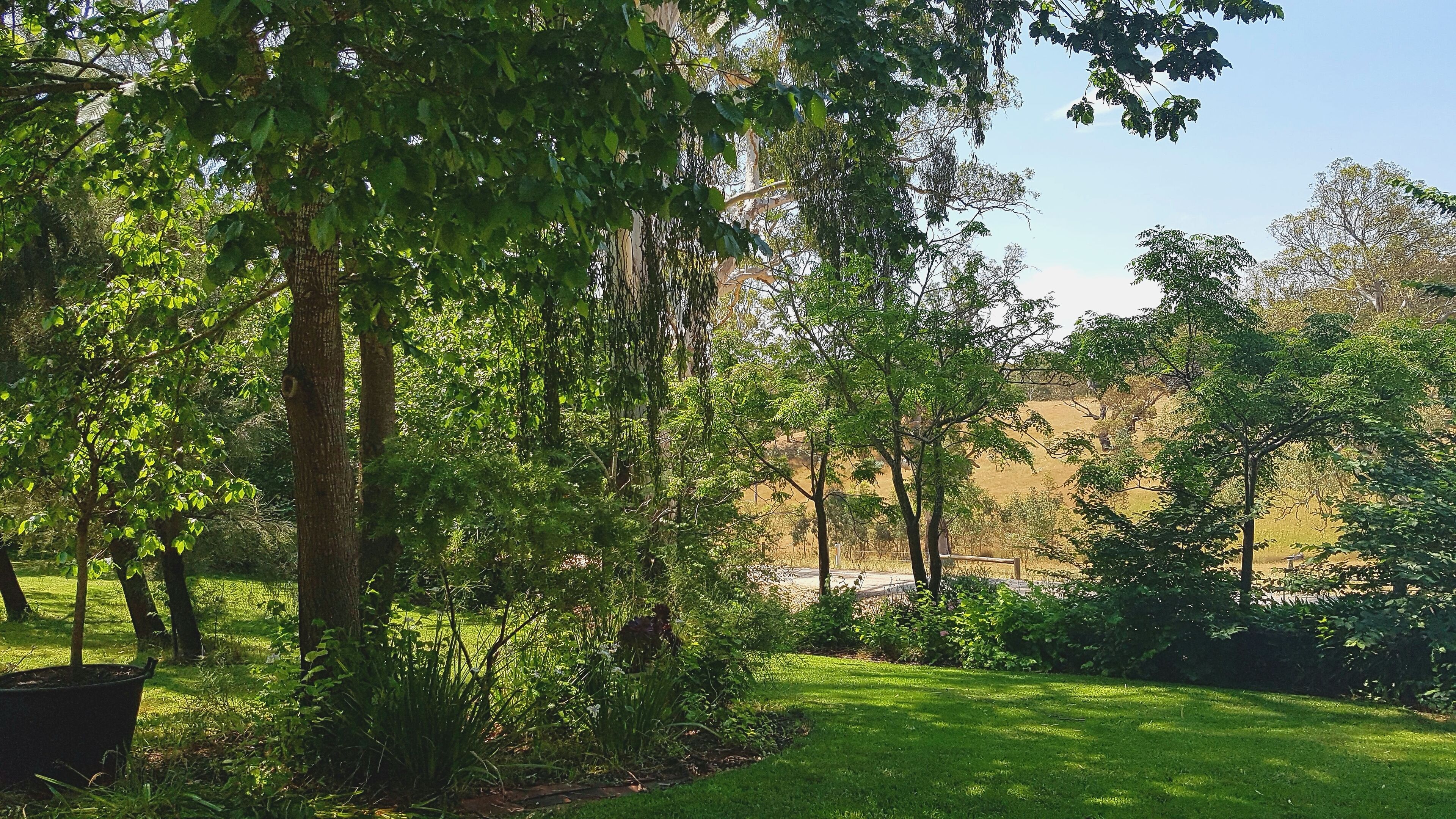 *Barrenjoey Hideaway* — image 27