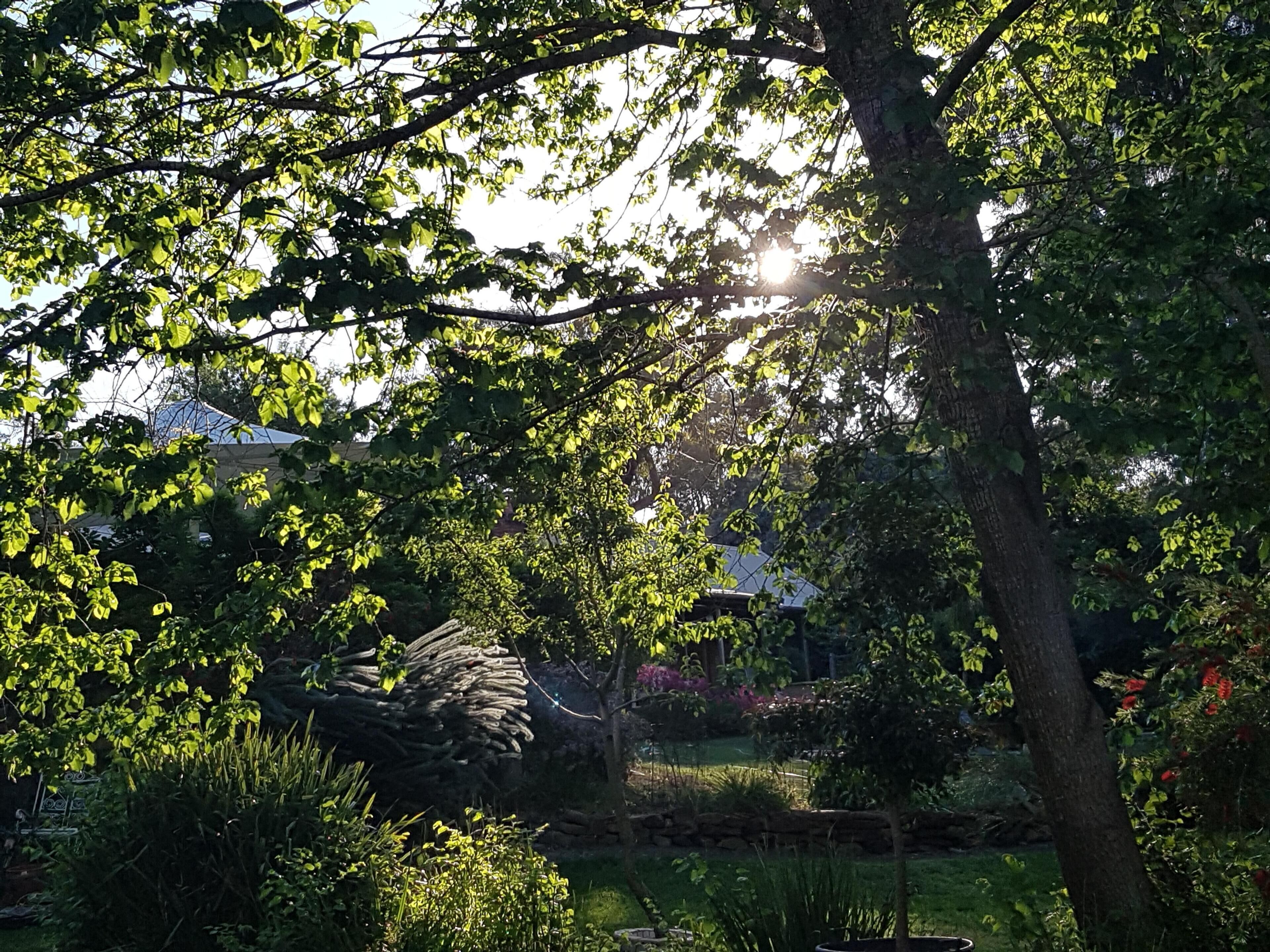 *Barrenjoey Hideaway* — image 21