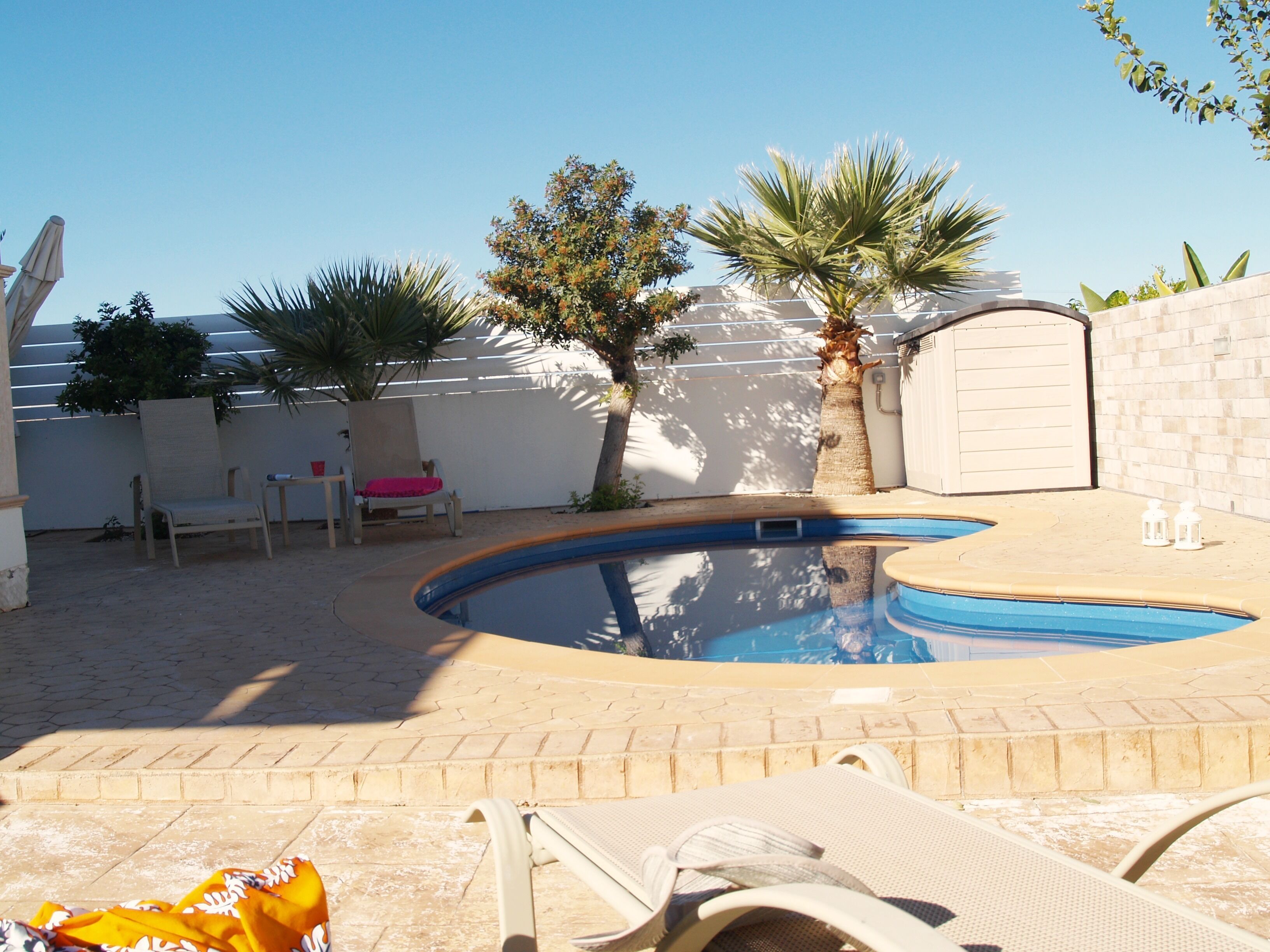 Una piscina con borde curvo, rodeada de sillas de descanso y una pequeña mesa. Palmeras y una cerca blanca se observan al fondo.