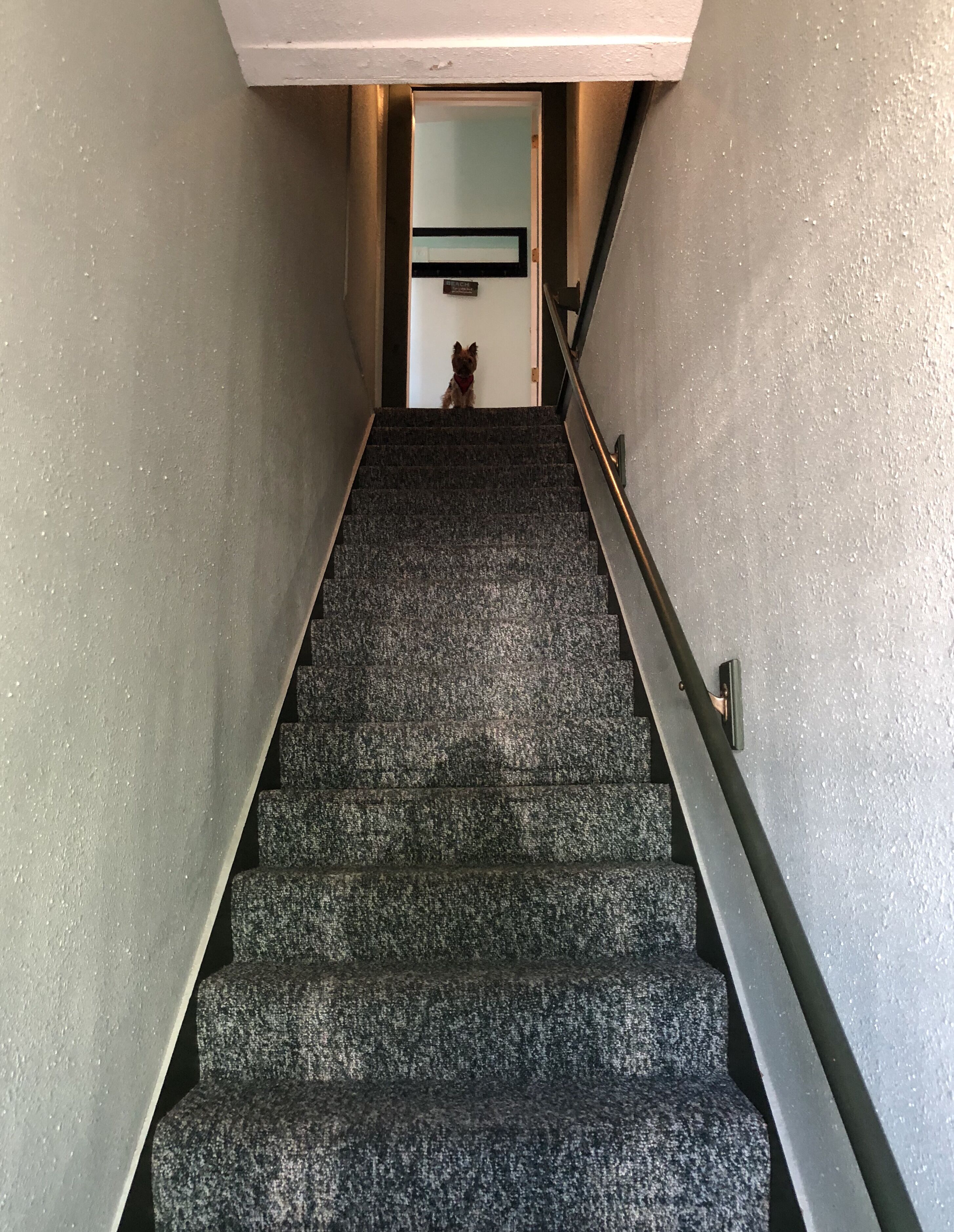 Innvendig